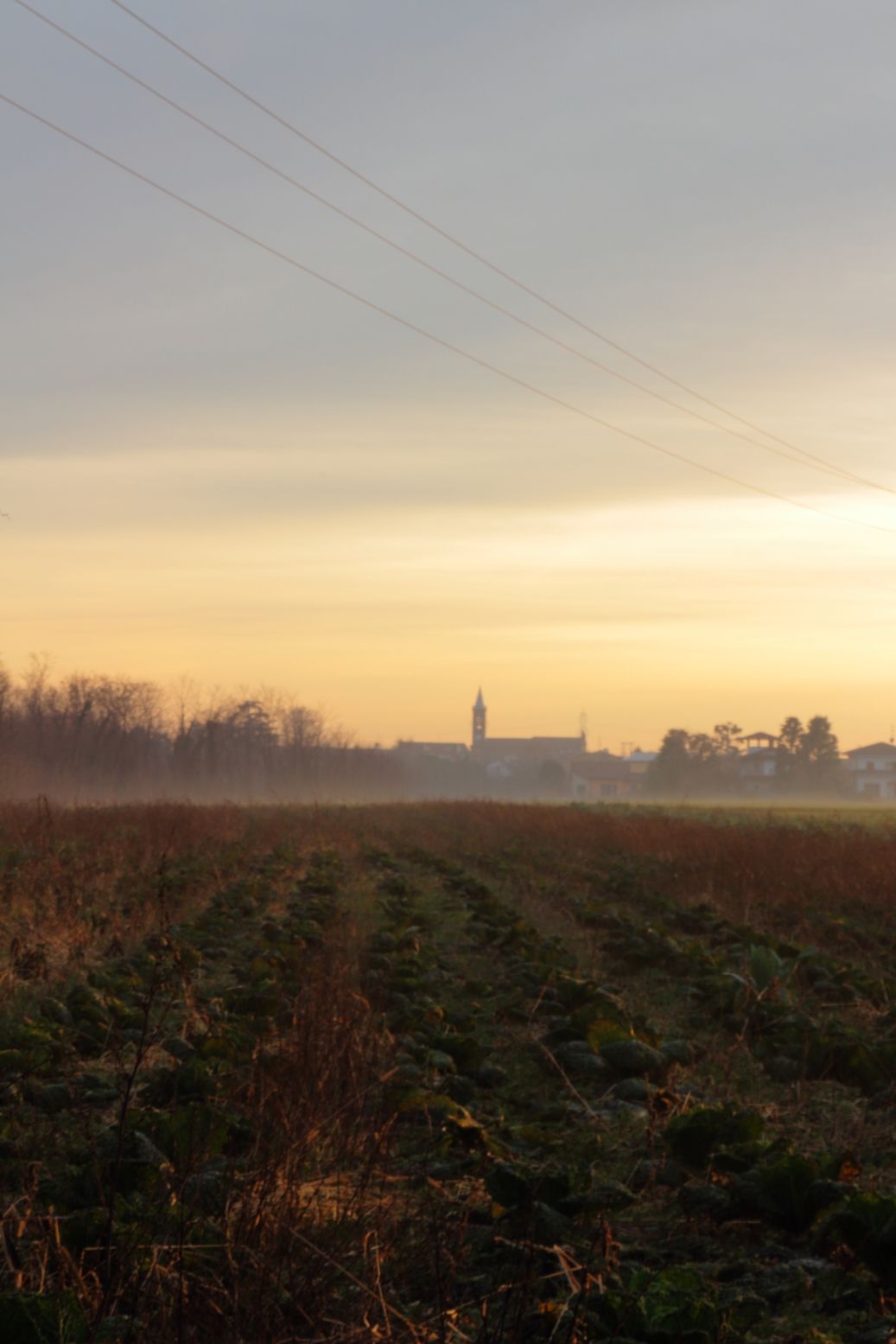 Tutti in riga verso il campanile