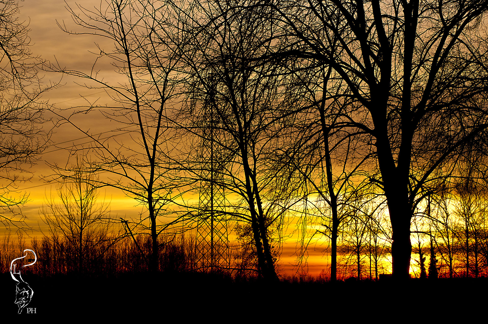 tramonto nelle campagne Venete