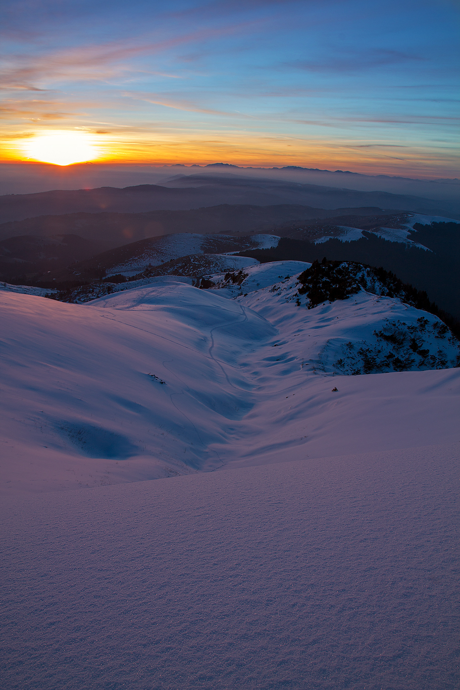 the warm winter sun that goes