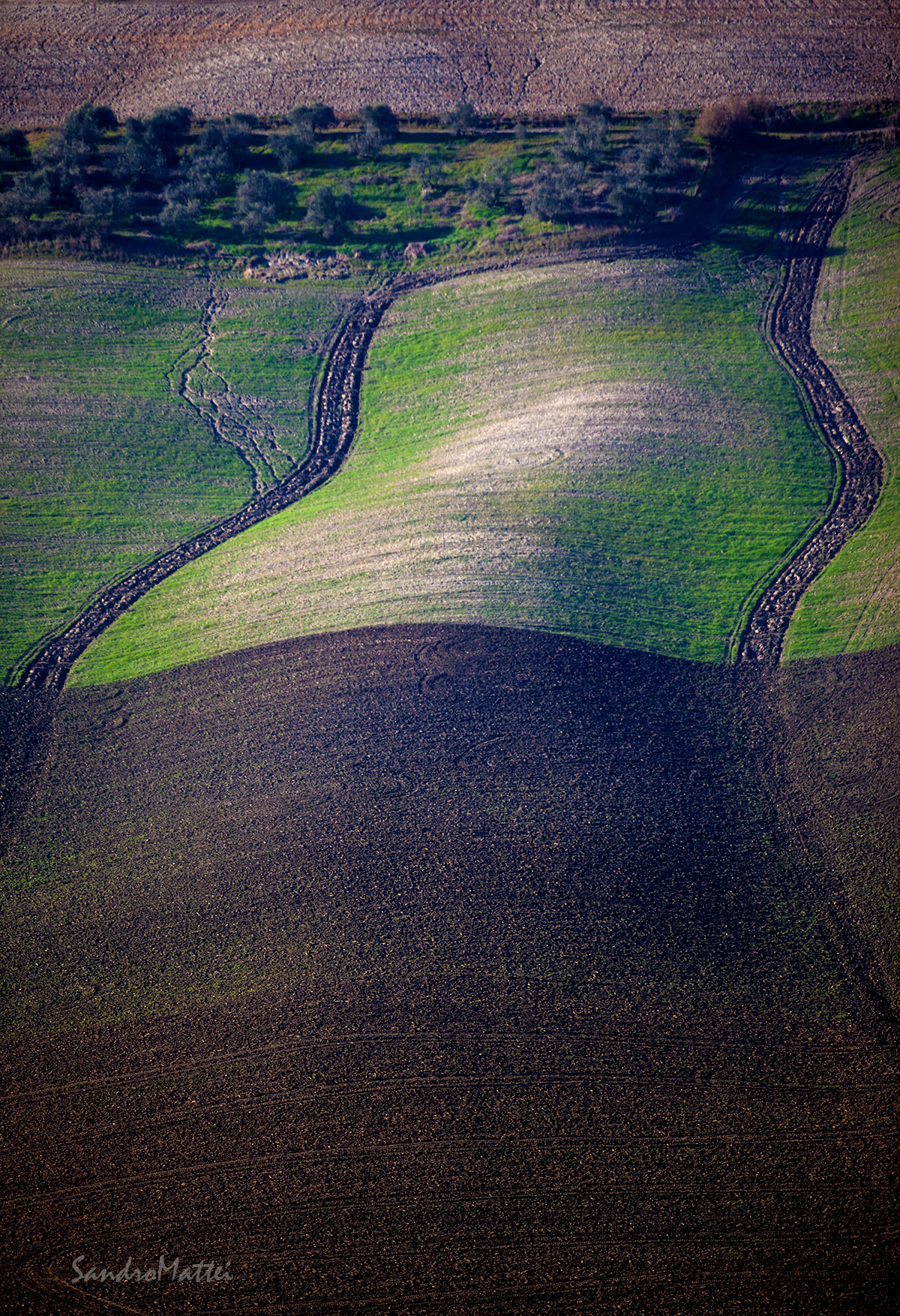 .....chicane........