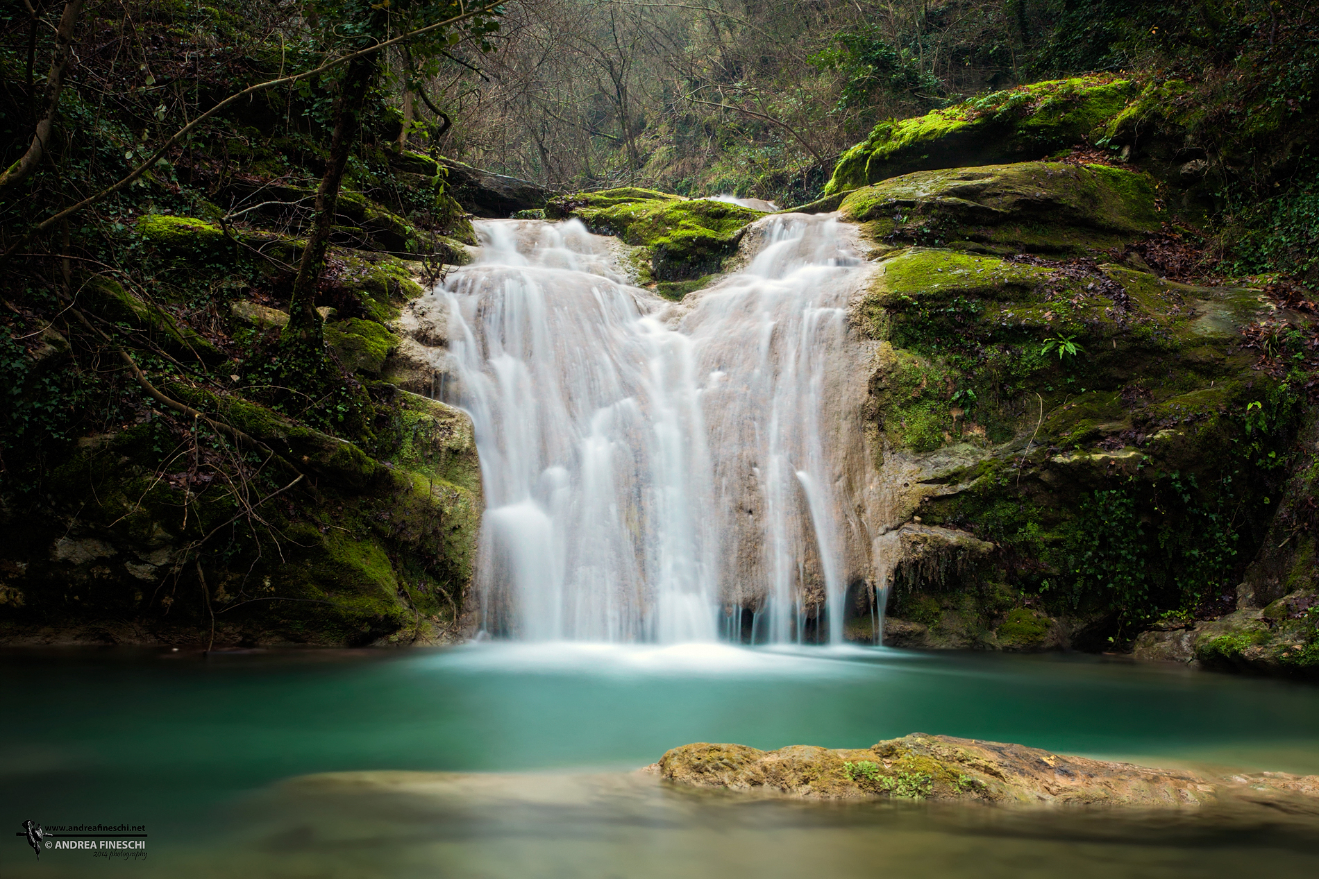 Forest waterfall