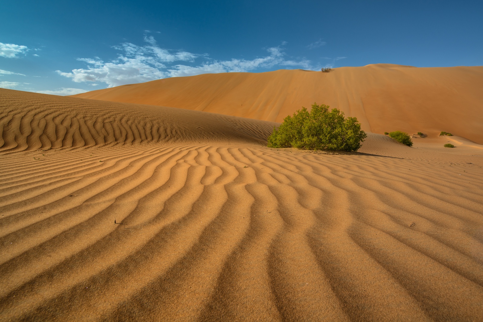 Rub al-Khali desert