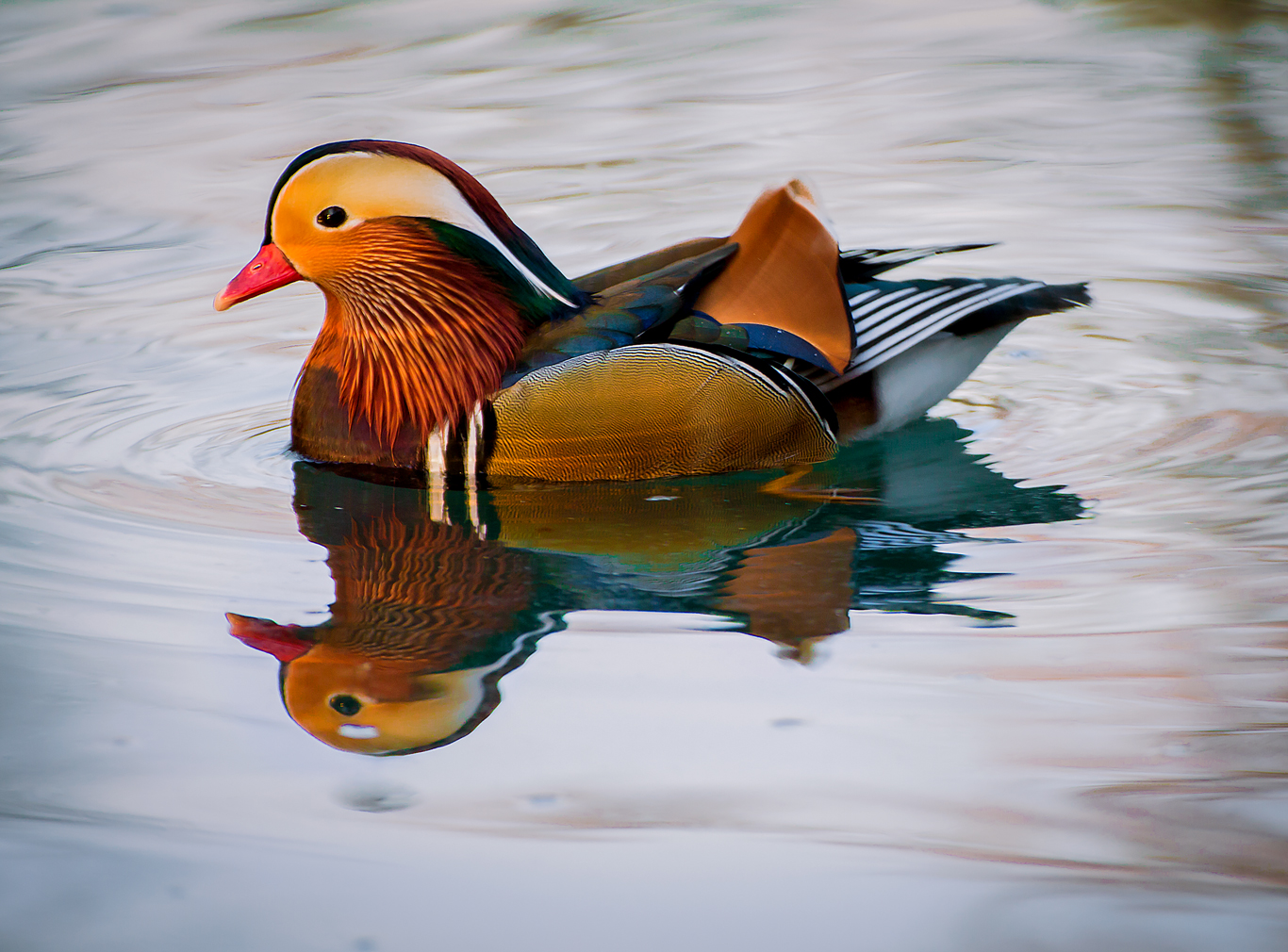 Mi scaldi con questi tuoi colori in questi giorni trist