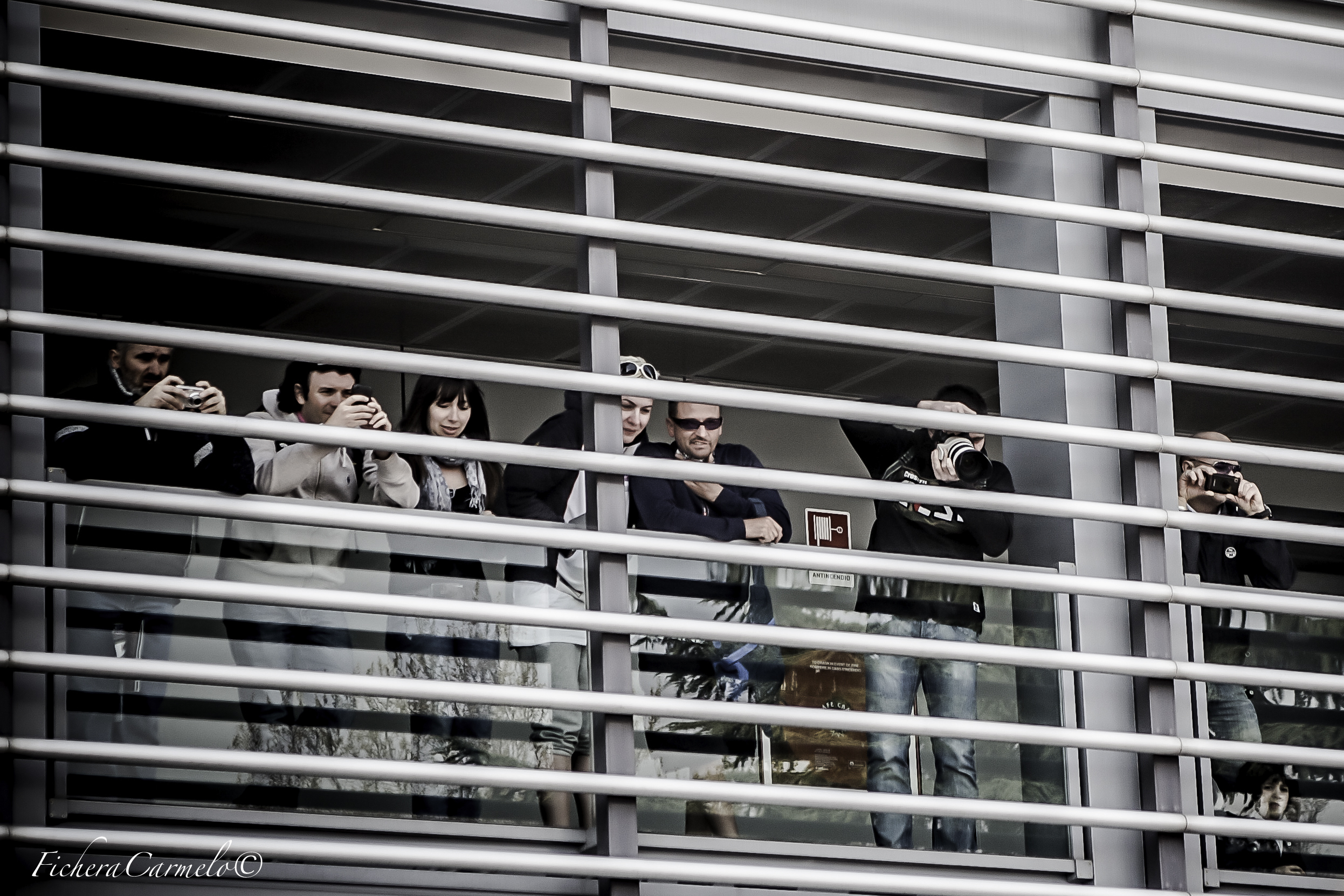 Curiosi dietro le sbarre !!!