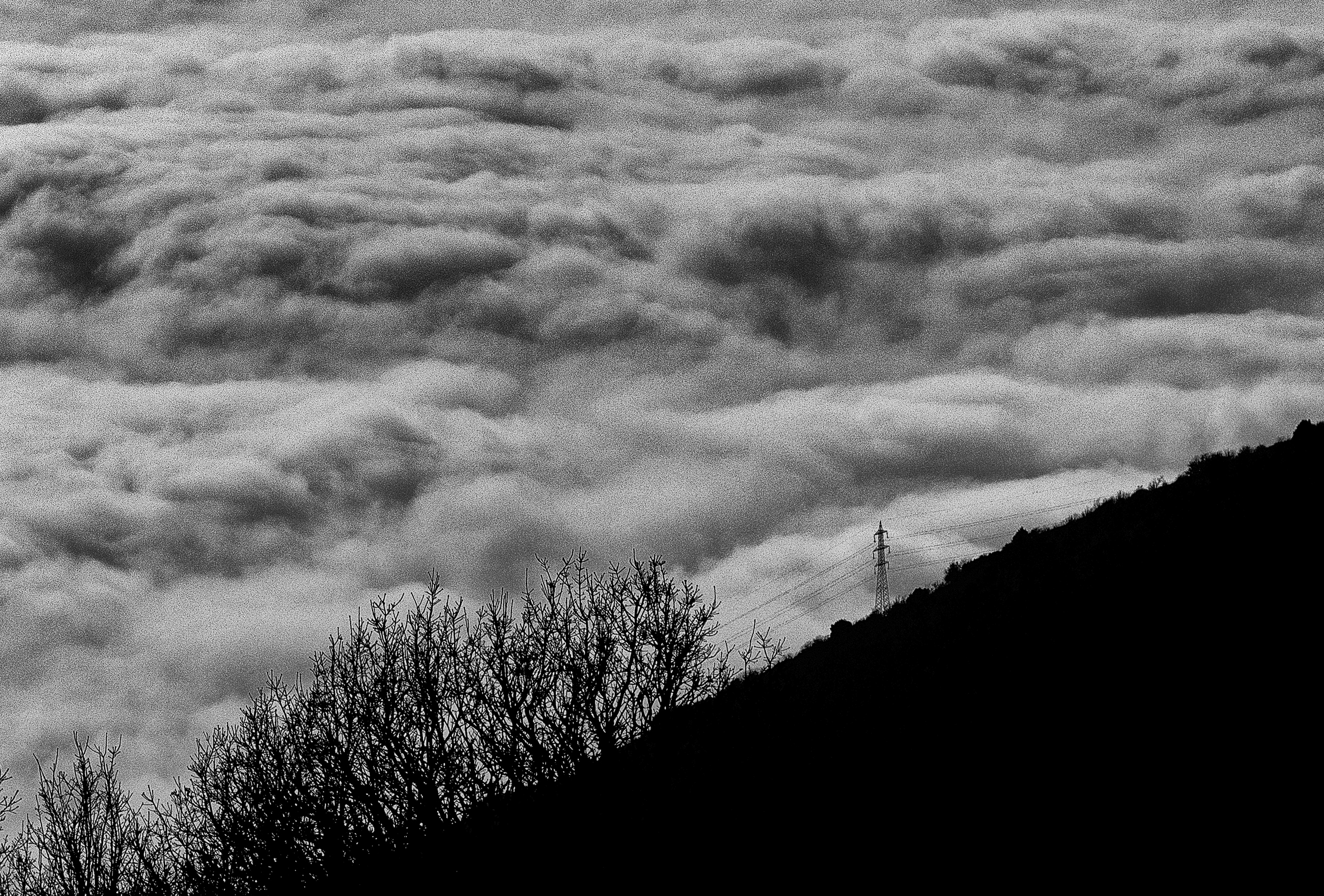 son, all this... will be yours ...