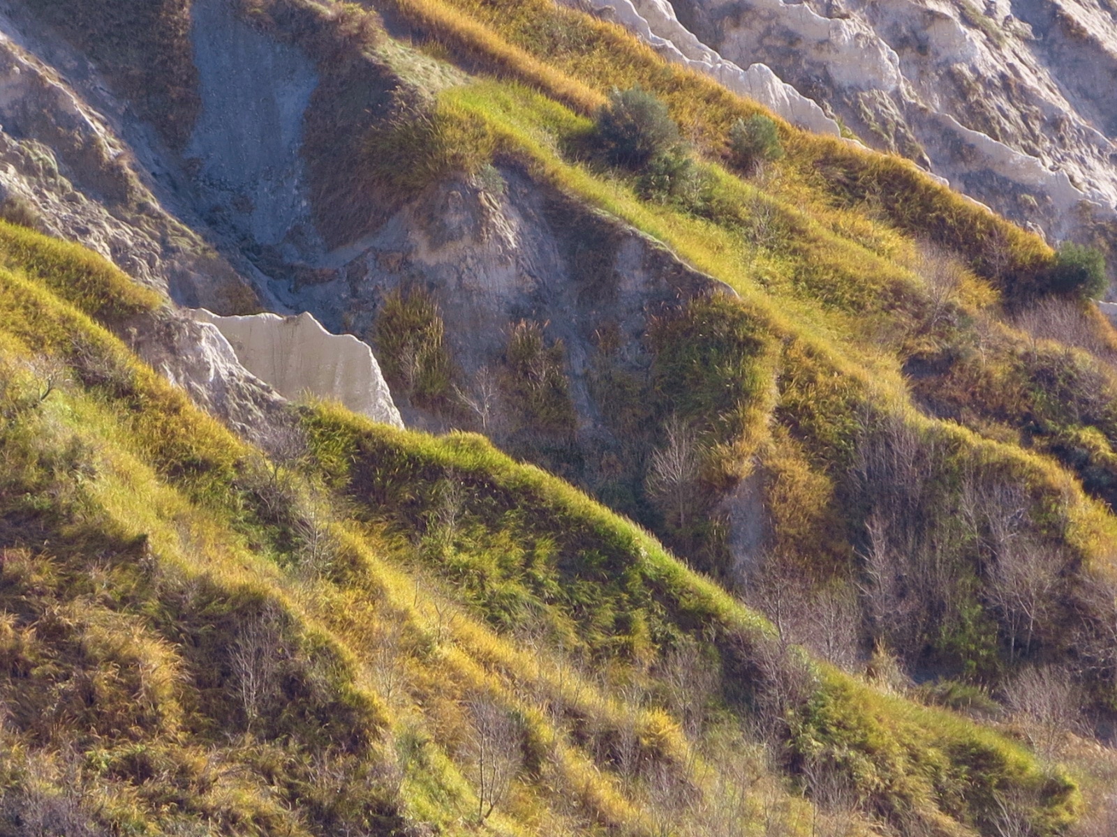 Forme e colori ardite-