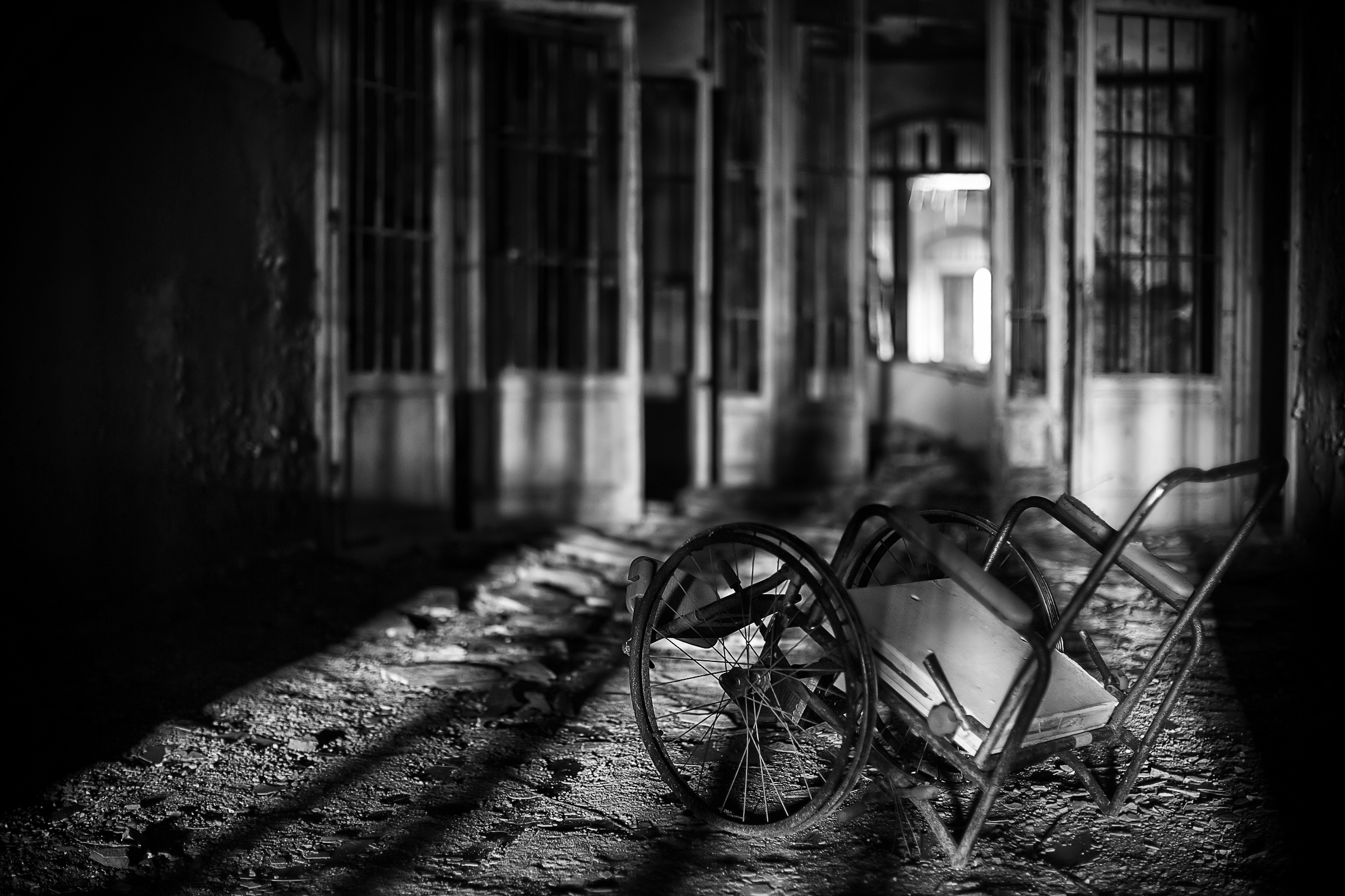 disturbing presences ...