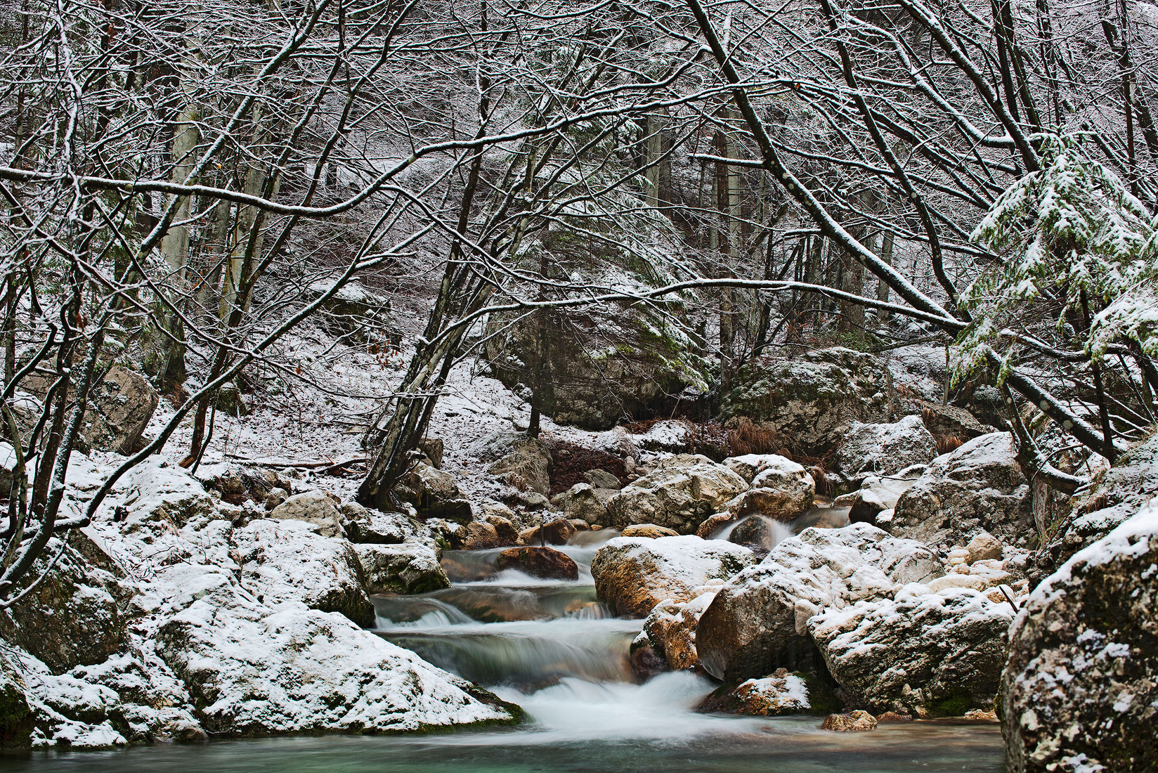 Torrente Raccolana. Alpi Giulie.