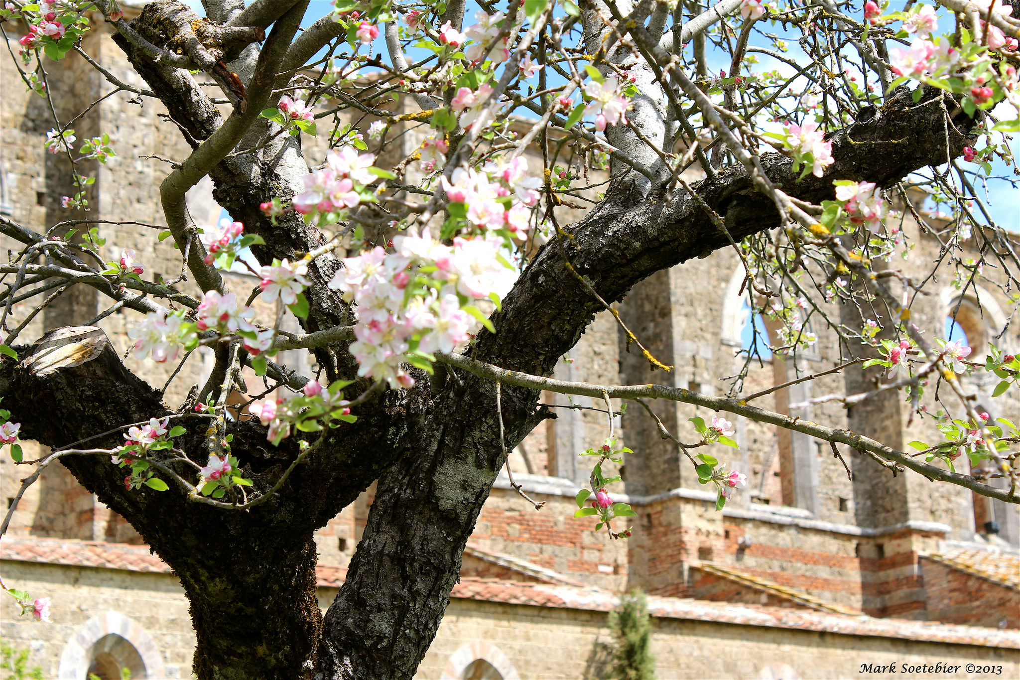Abbazia di San Galgano