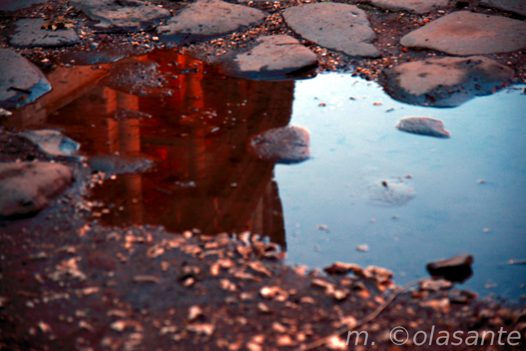 Riflessi del Colosseo