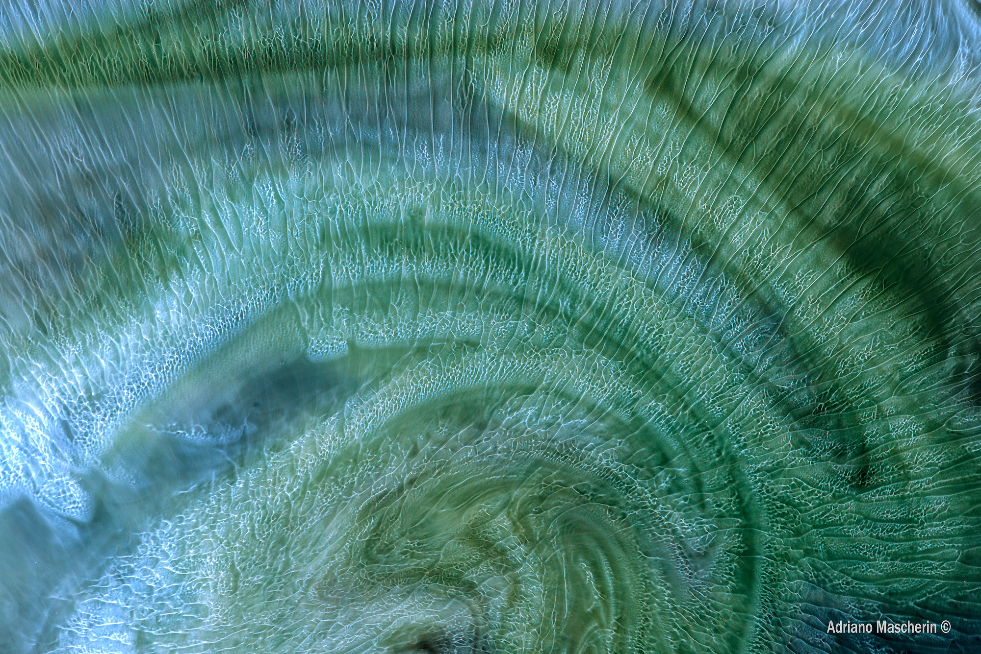 Aurora boreale...senza colori...