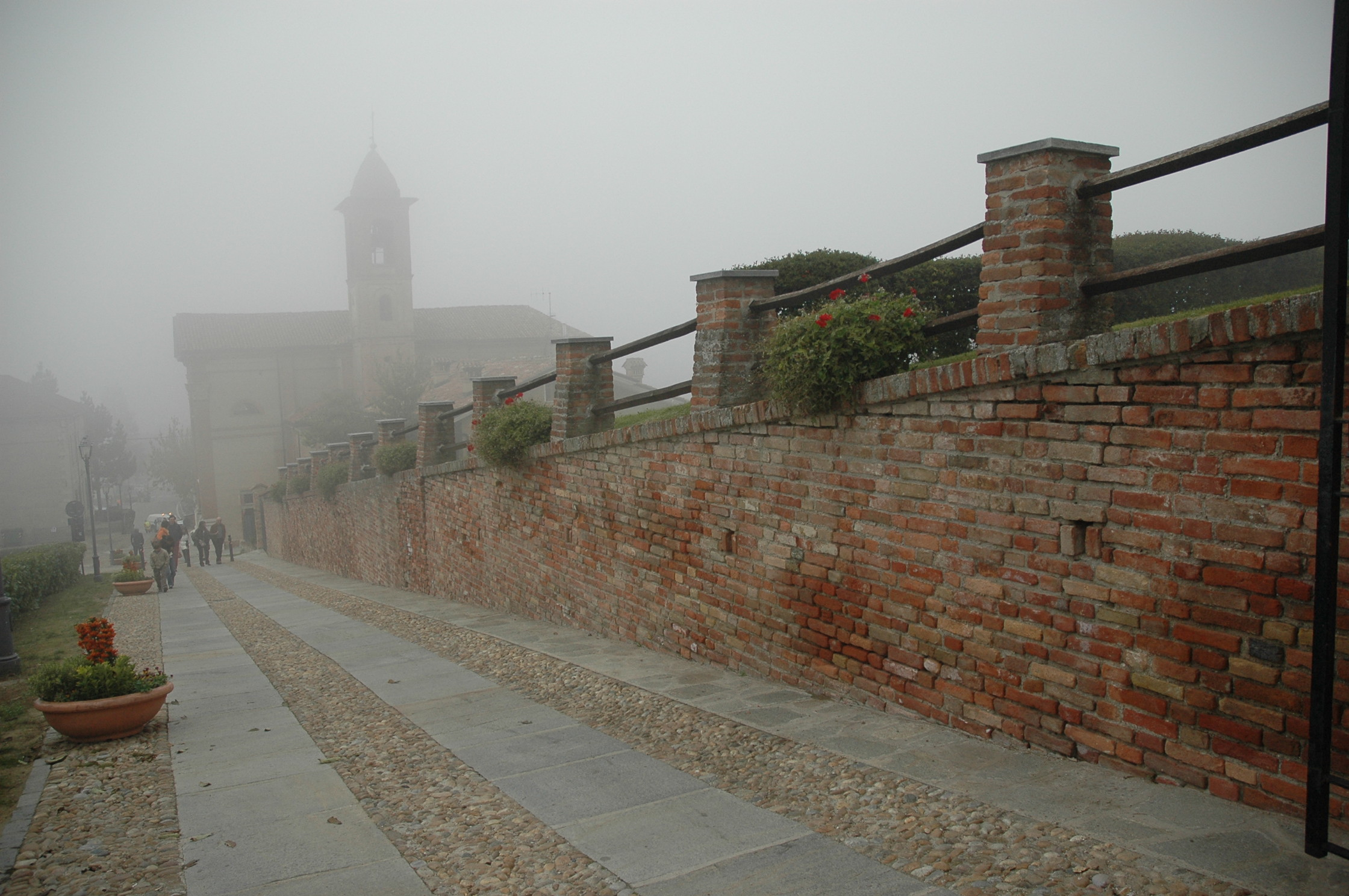 le langhe e la nebbia