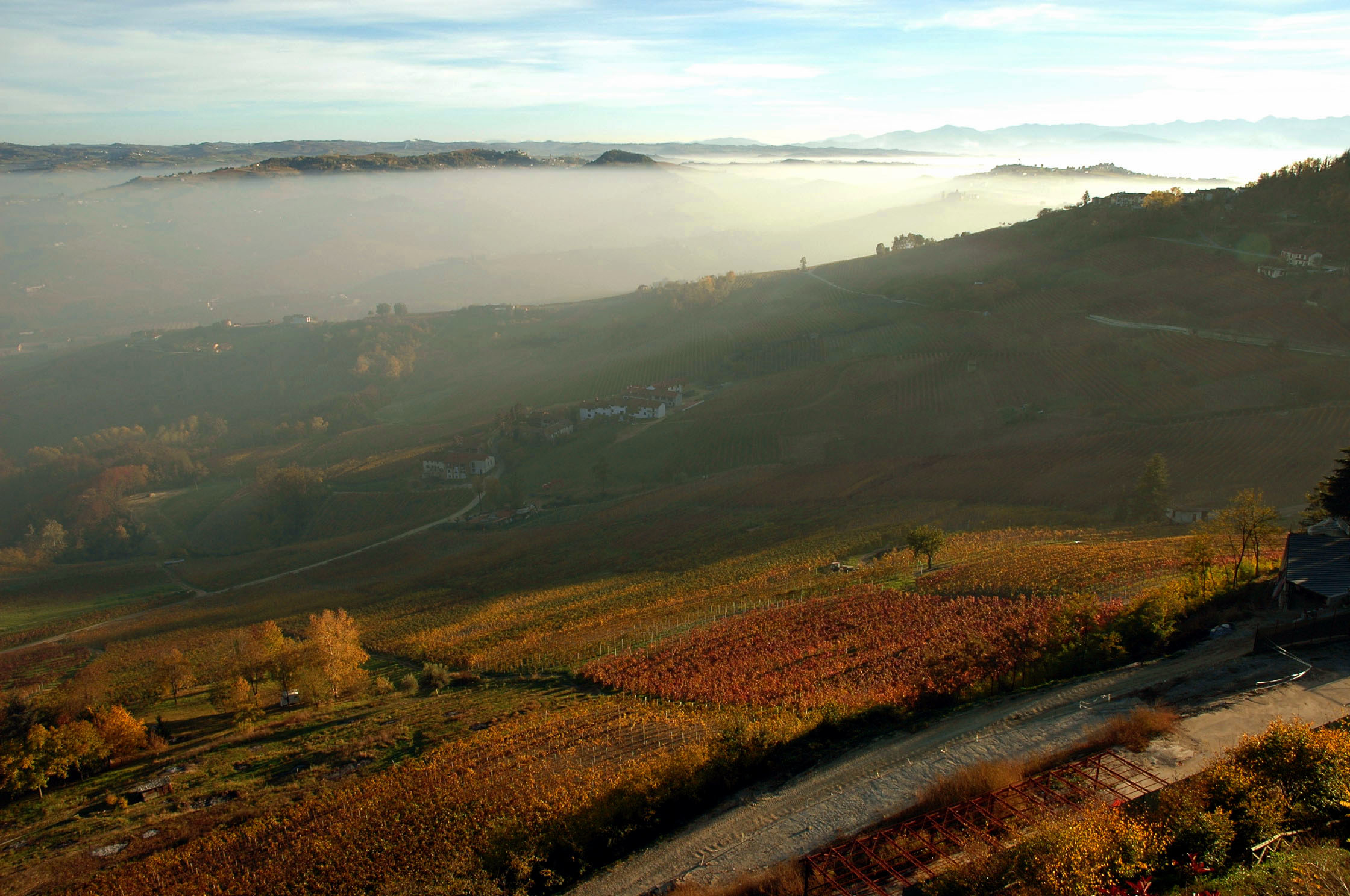 le langhe e la nebbia