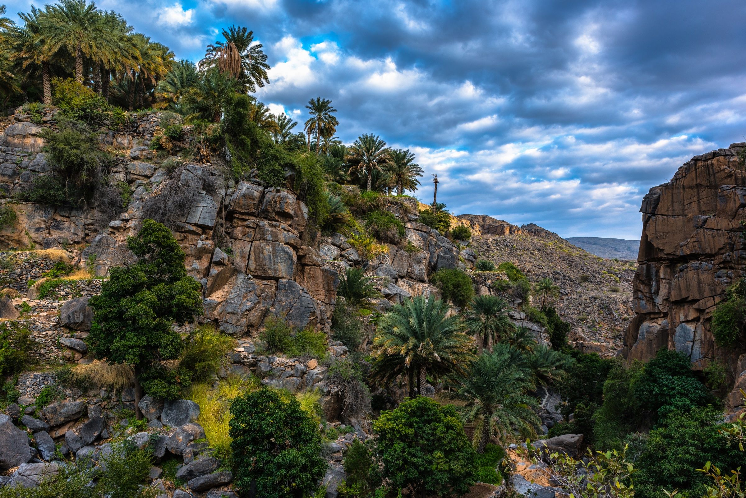 Oman - Village of Misfah