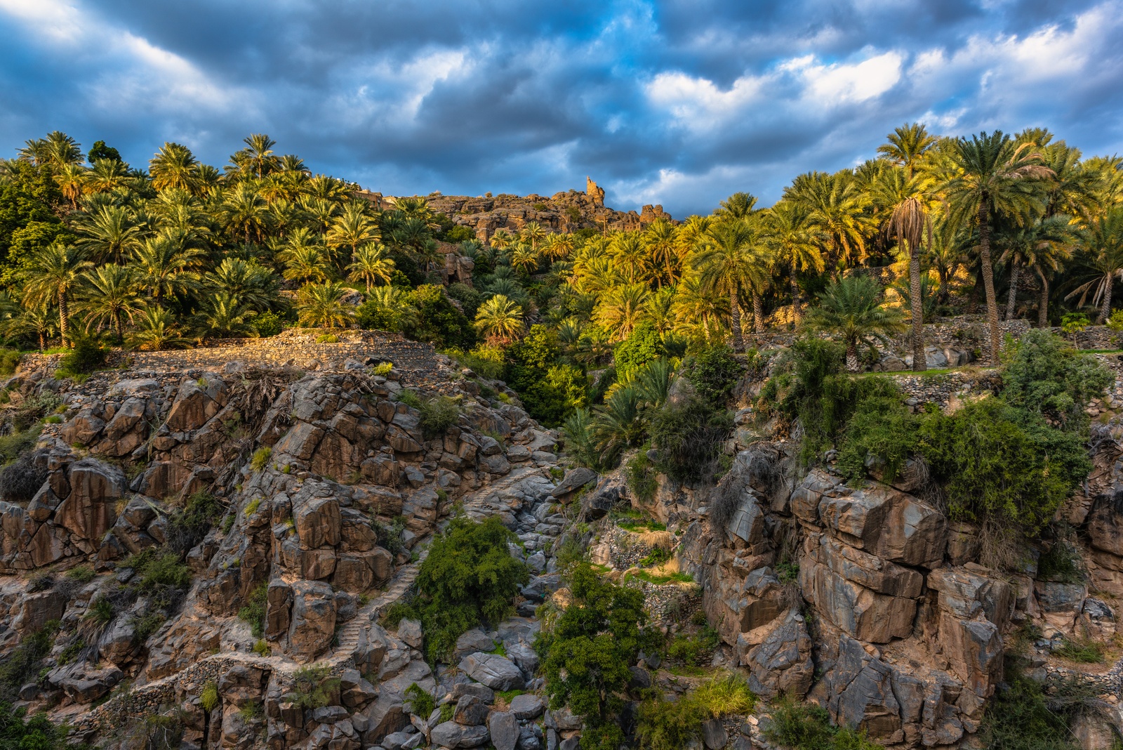Oman - Village of Misfah