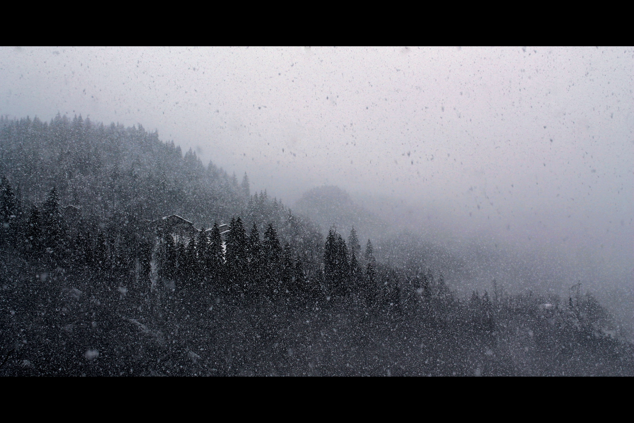 Under the blanket of snow