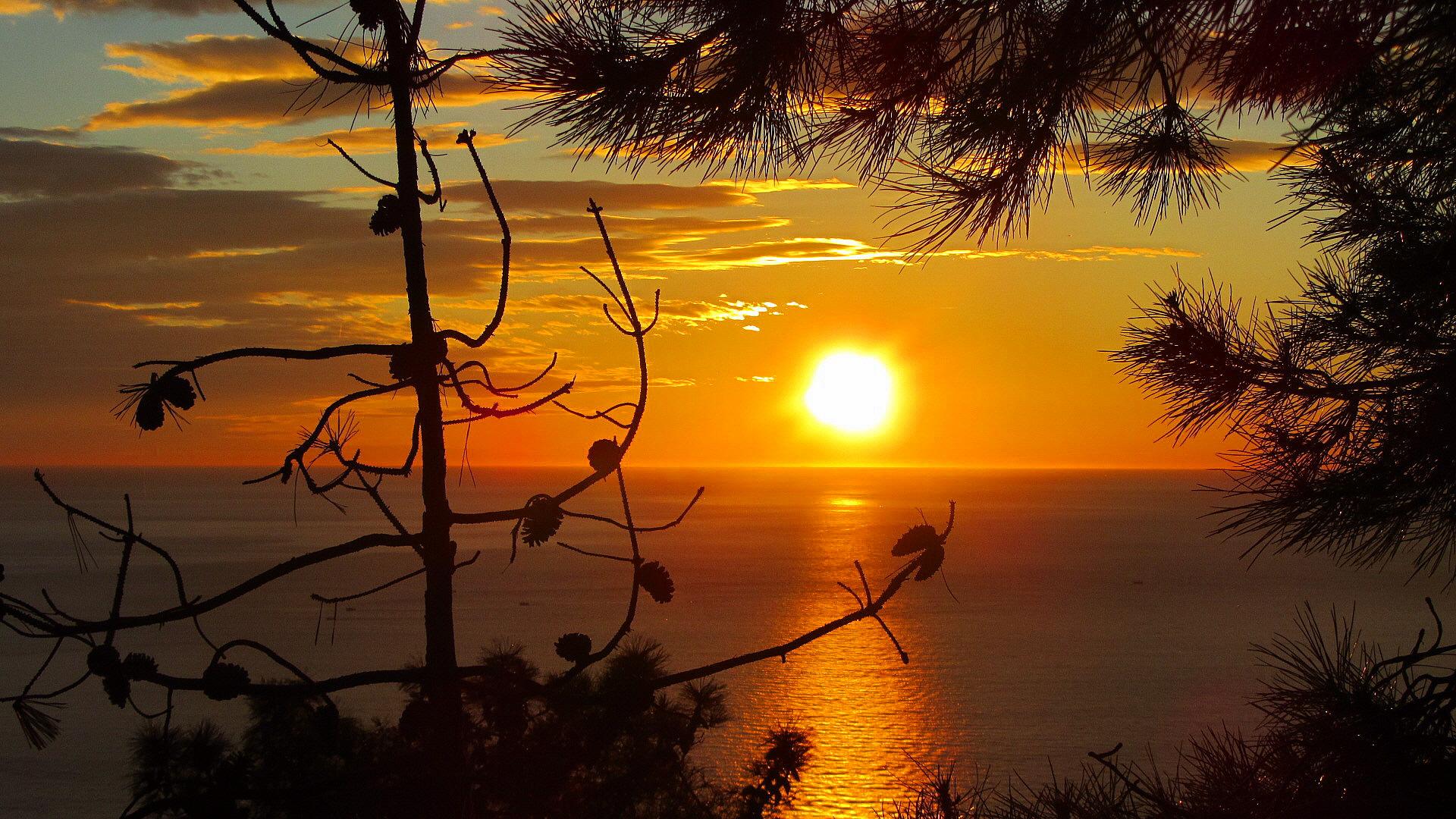 Trampino and the other