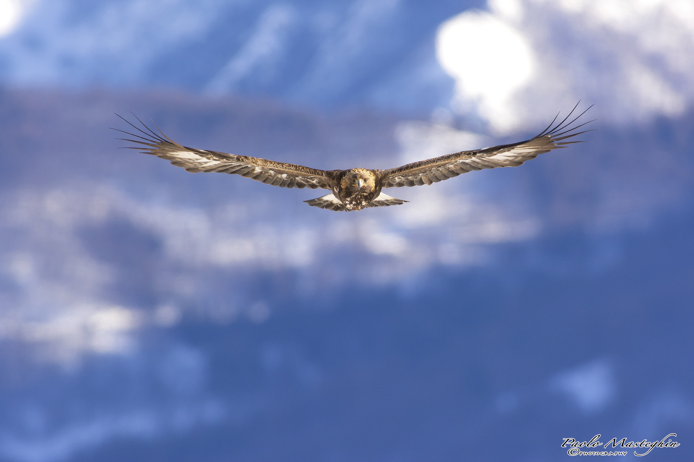 A tu per tu....che spettacolo.