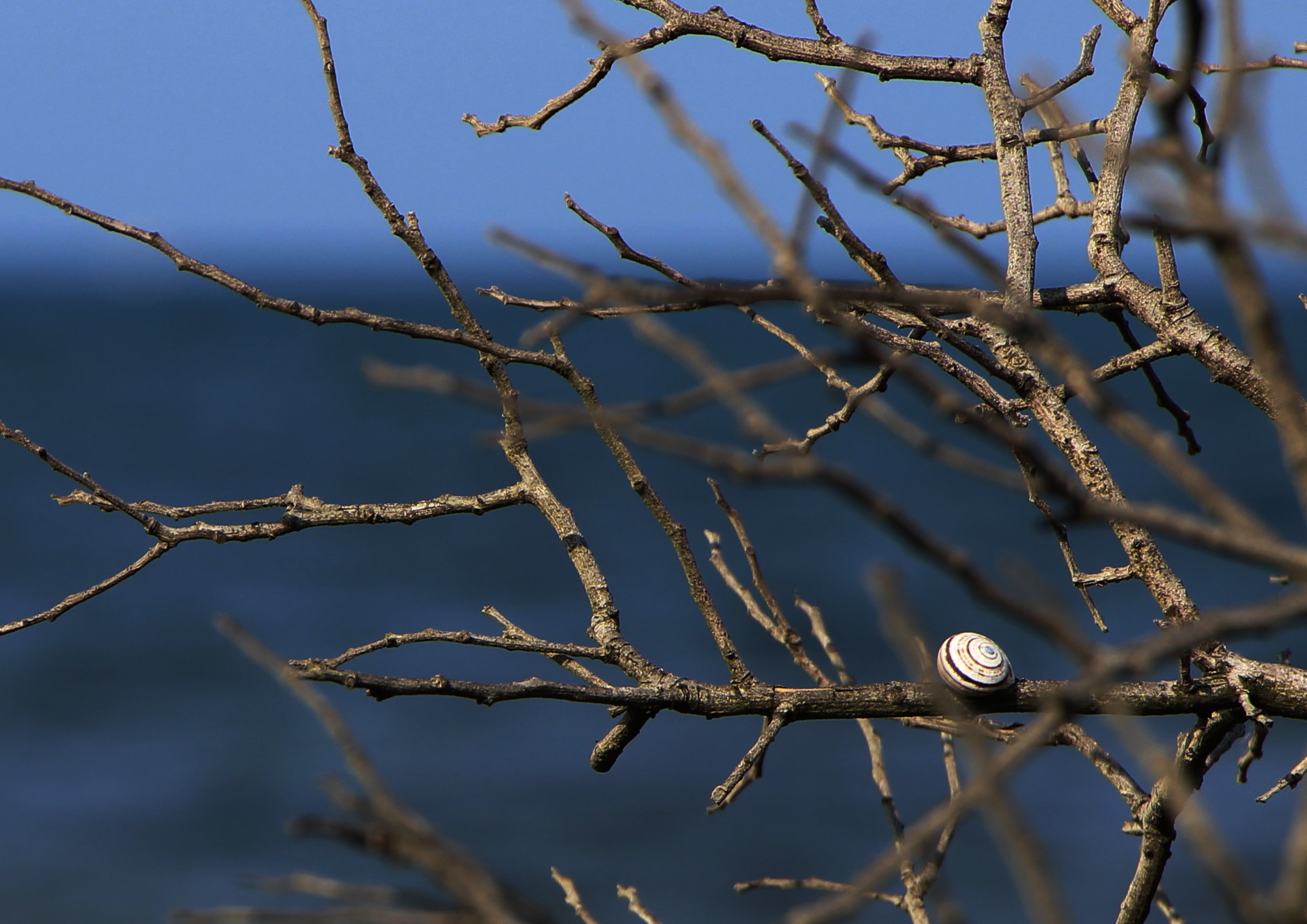 everything is now dry