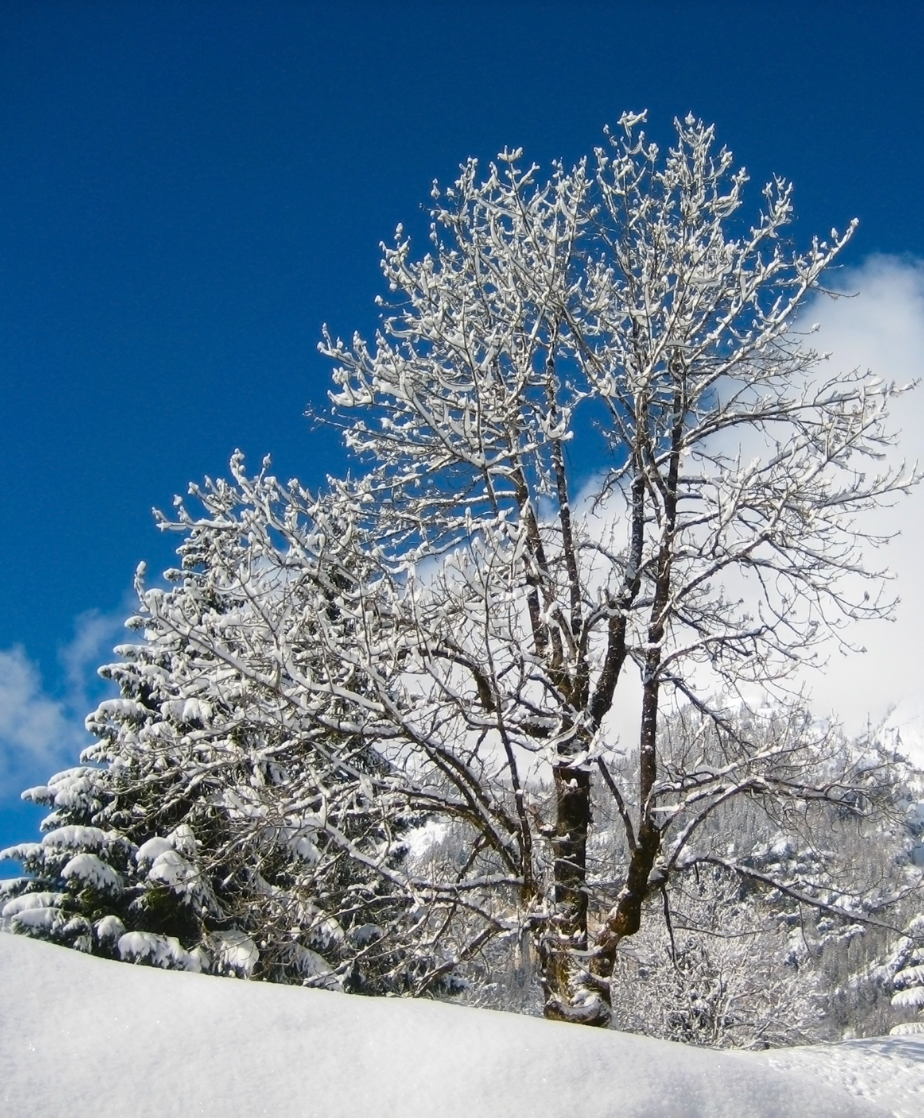 ...due passi tra la neve2