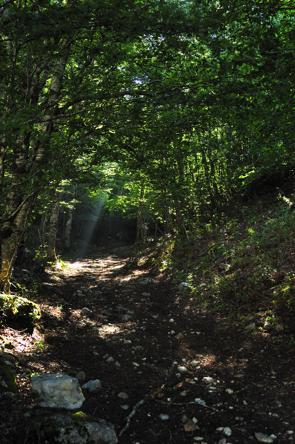 Sulla via per il Monte Cannelle