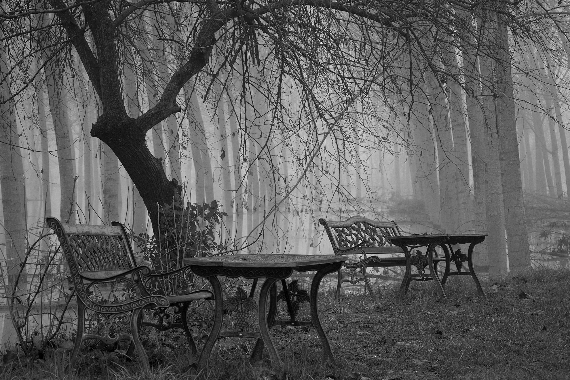 Once upon a time ......