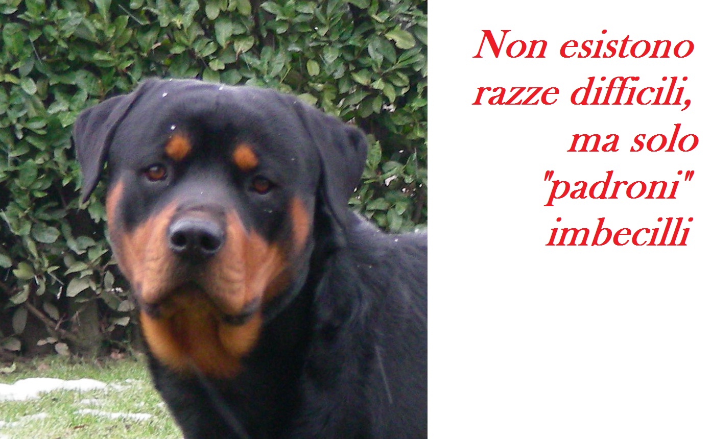 Chi vuole intendere, intenda