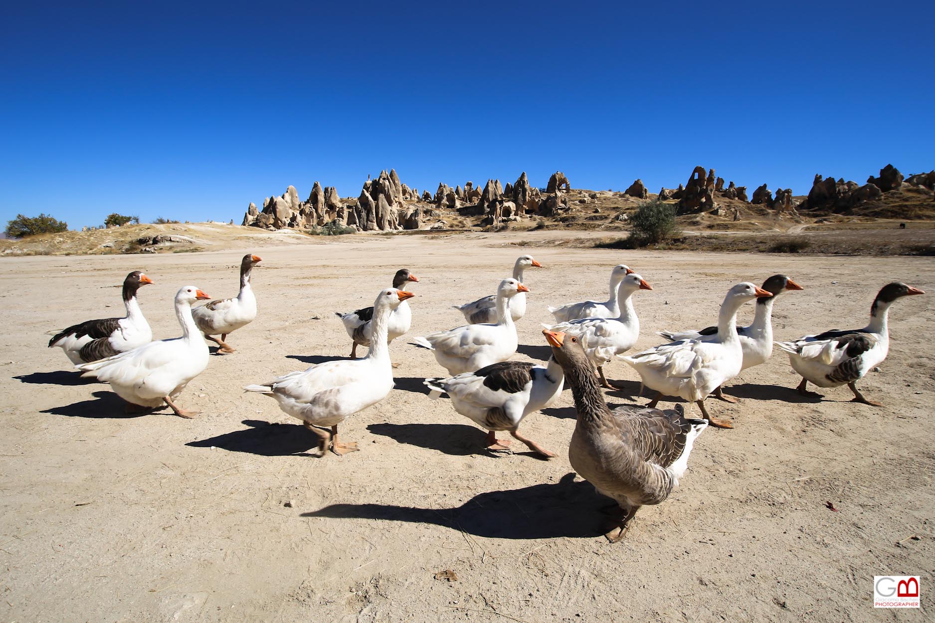 Cappadocia 2# - Al mio via...