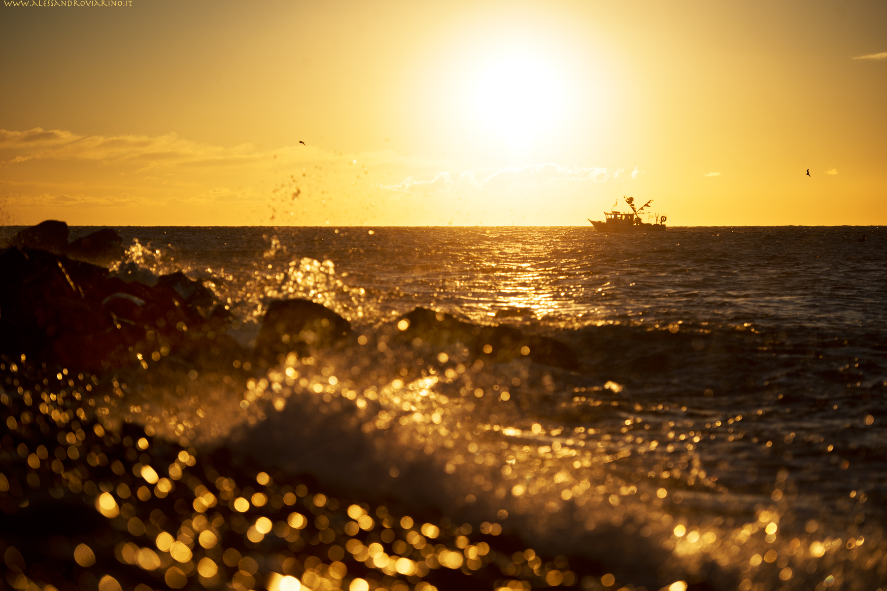 site of dreams, andora