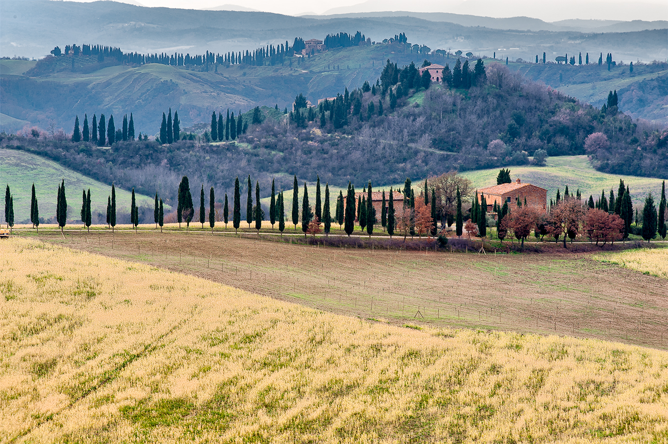 Crete Senesi