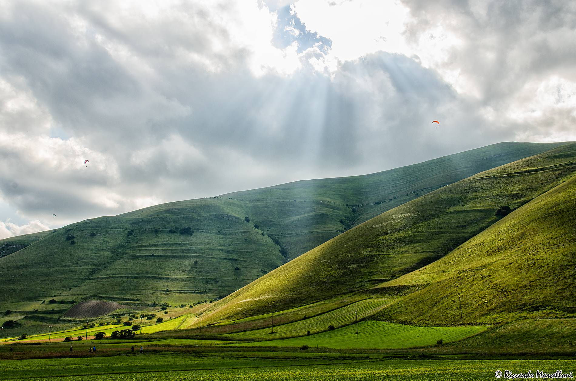 Beautiful colors of the meadows of Castelluccio