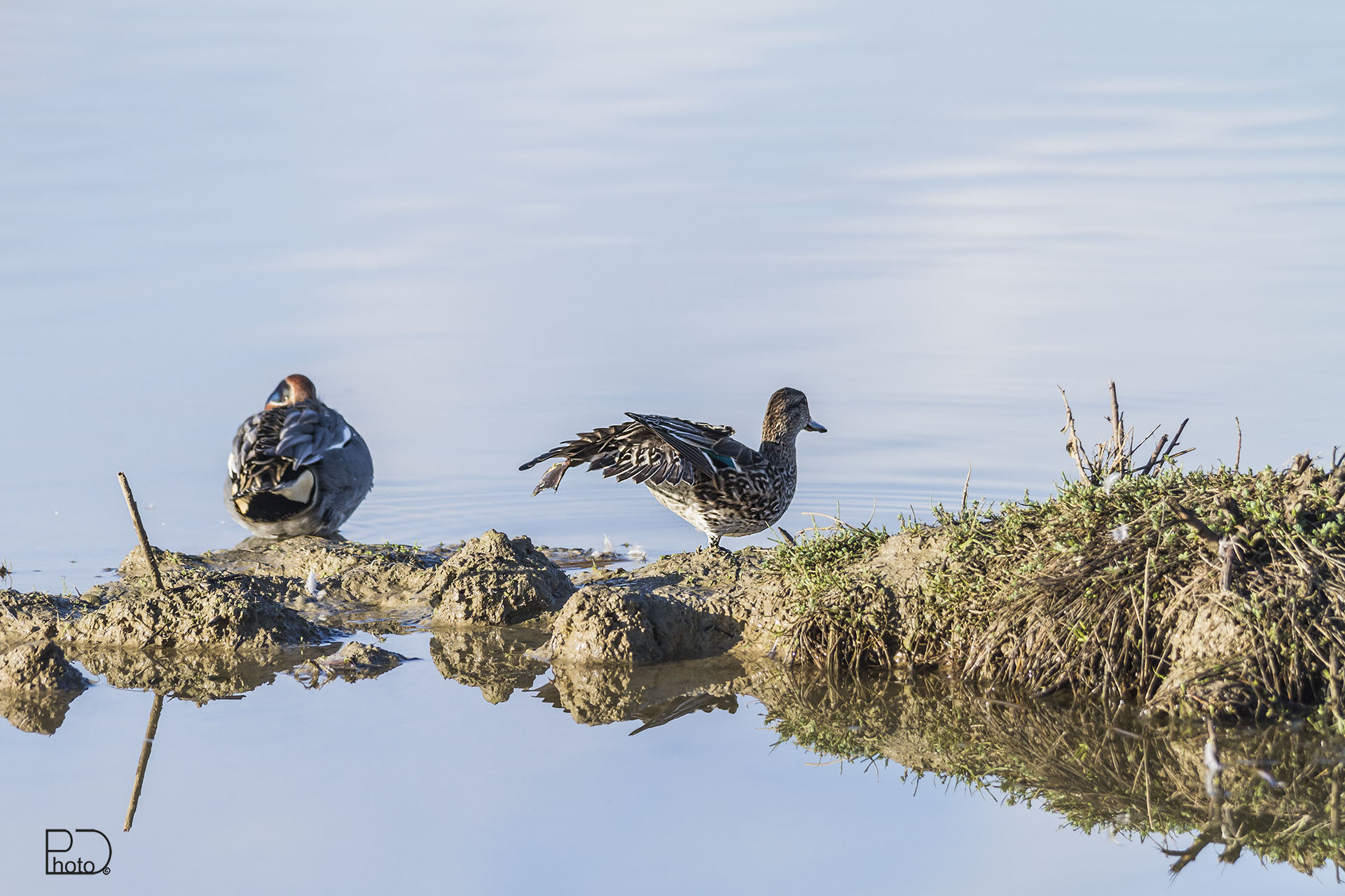 heating before the bath
