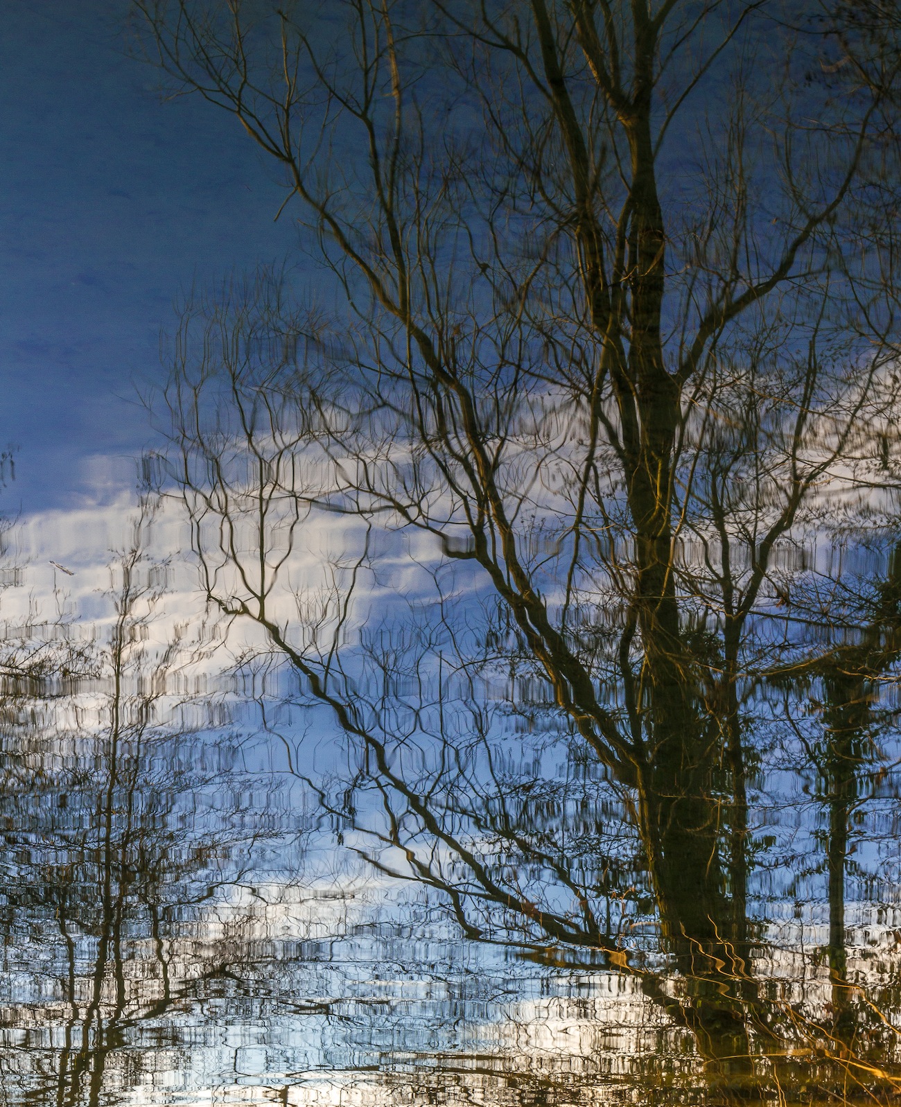 Reflection? upside down