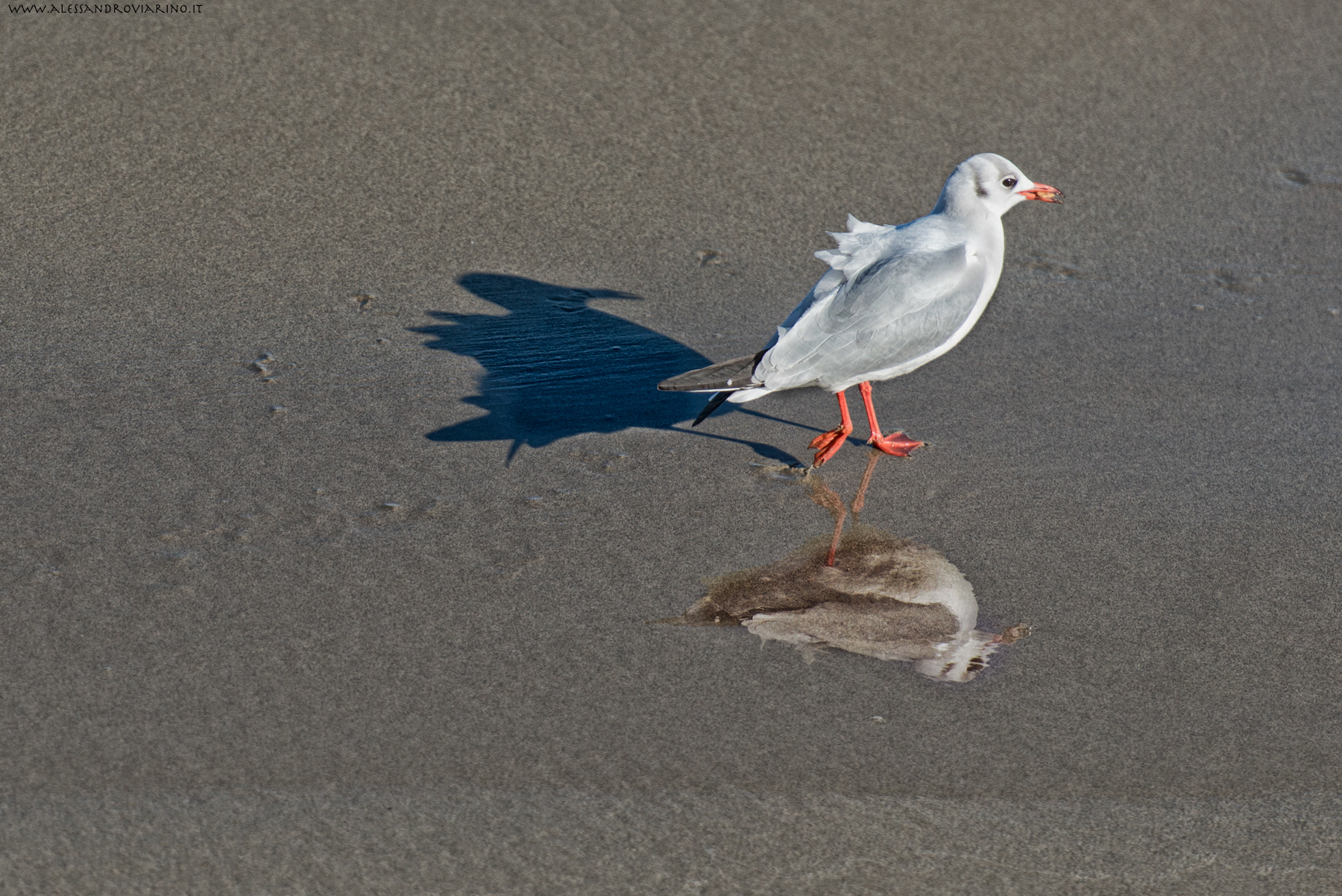 three for the price of one :-)