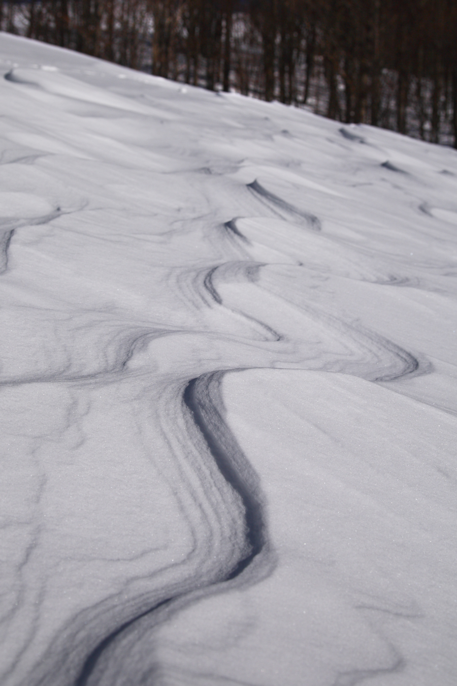 Neve scolpita dal vento