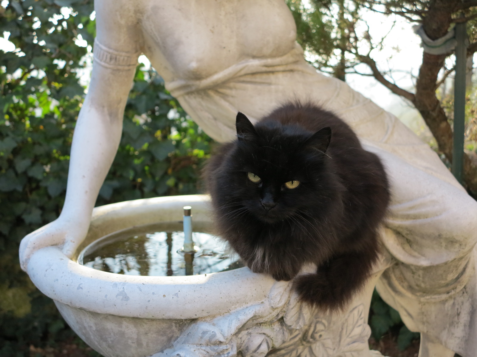 Nerina disappointed-