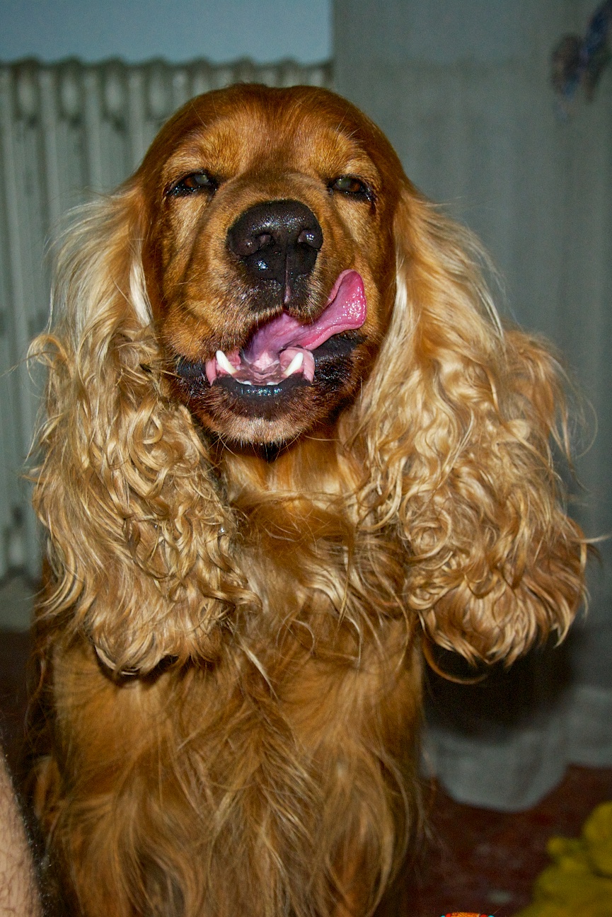 mmmm....che buono!!!