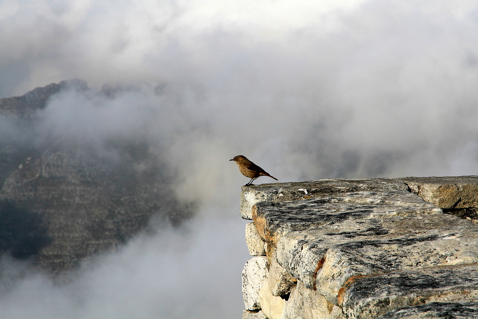 Table Mountain National Park