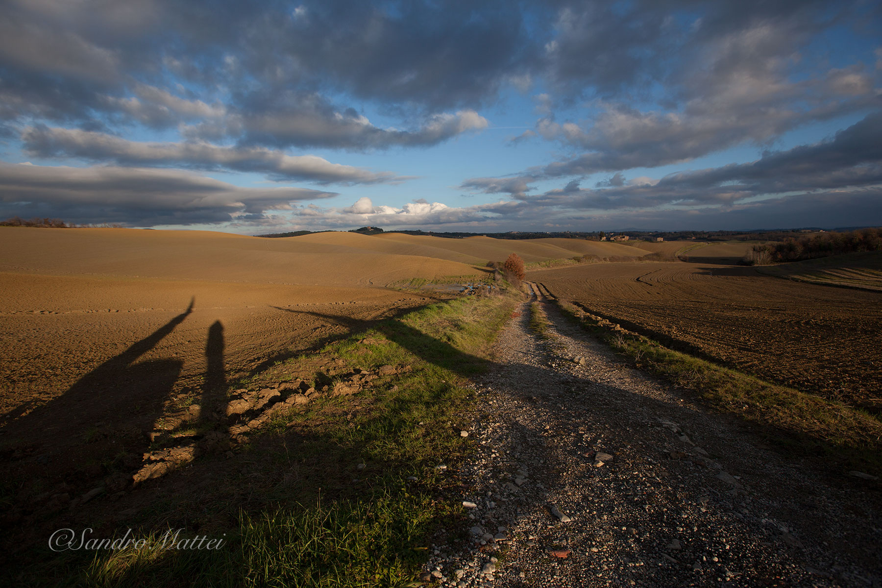 ...muore il sole e nascono le ombre......