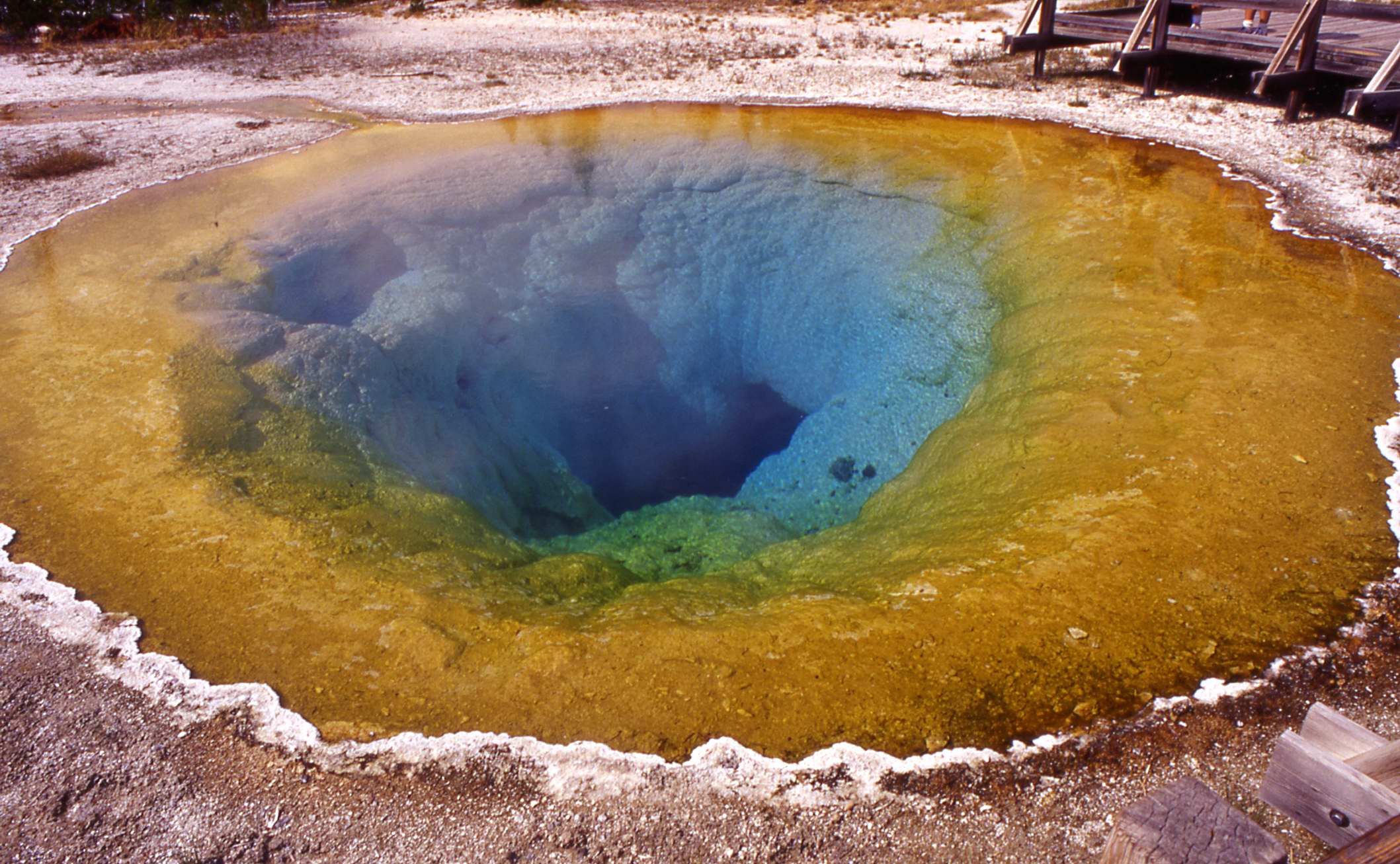 Mornng Glory Pool, Yellowstone n.p.