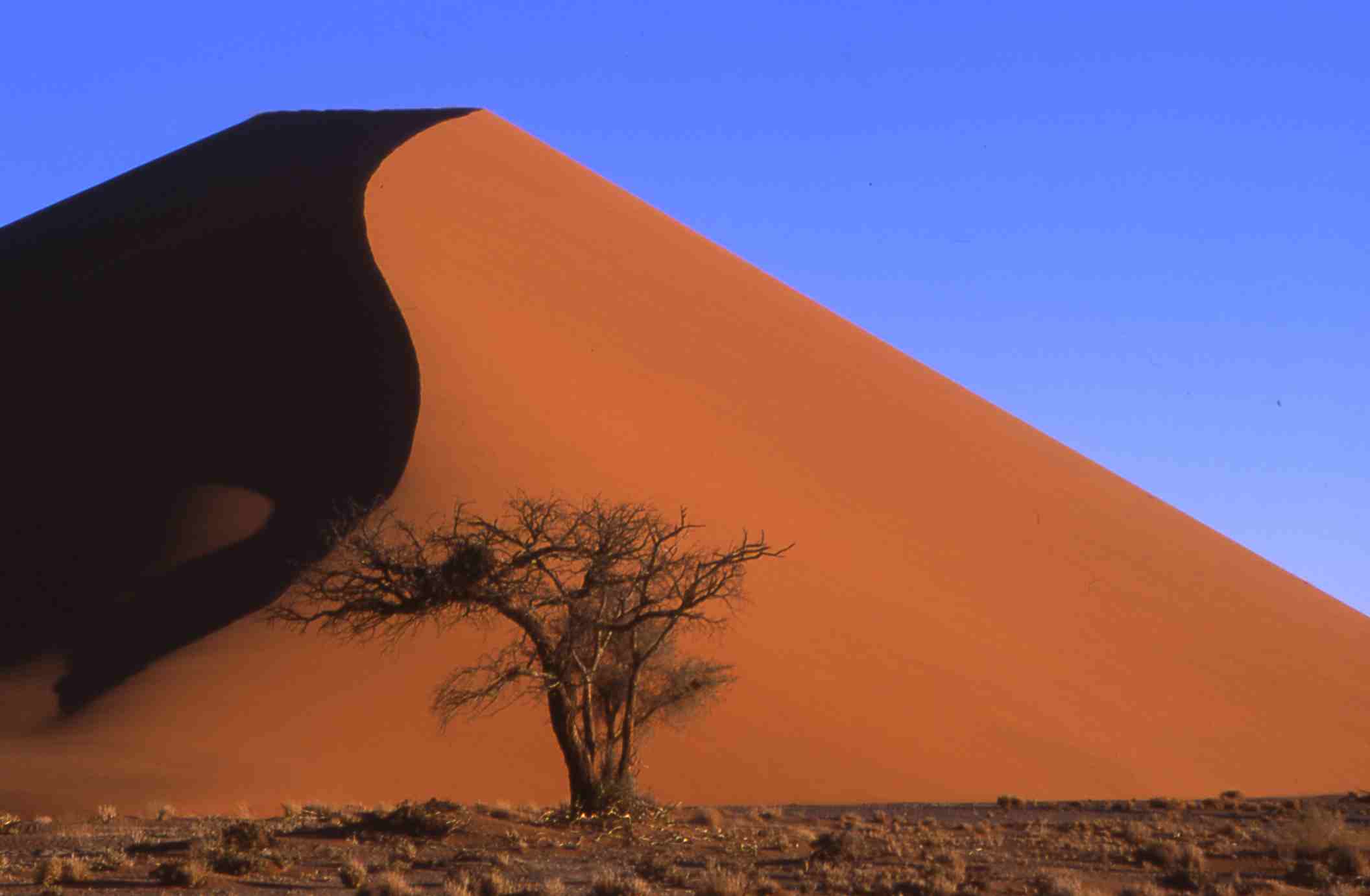 Dune Sunset, Namibia