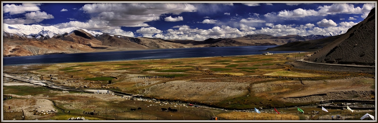 Riserva Tso Moriri Wetland .... Changthang Ladakh