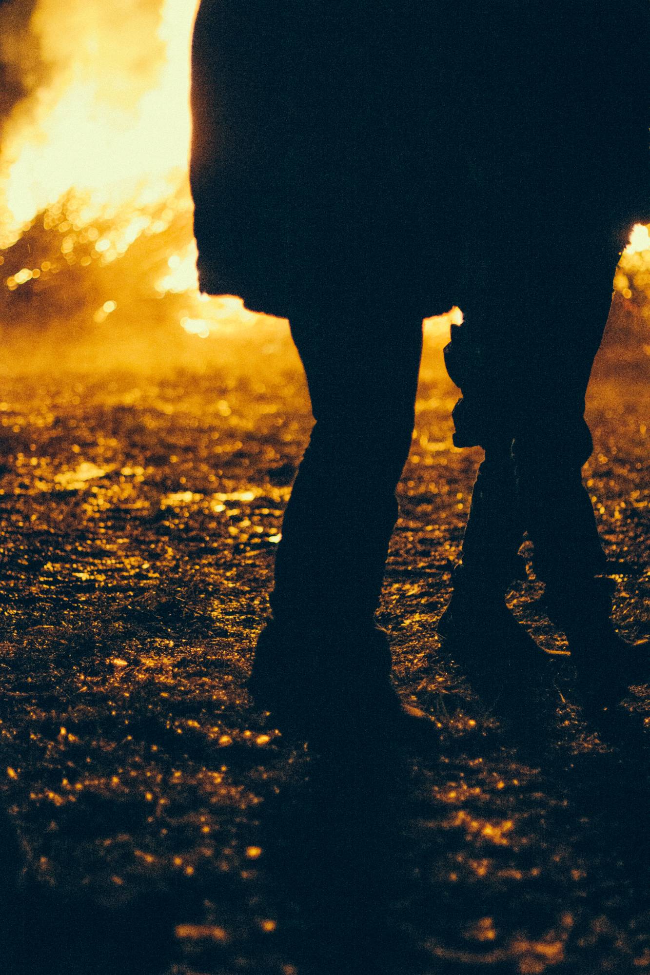 Giubiana 2014 - Briosco