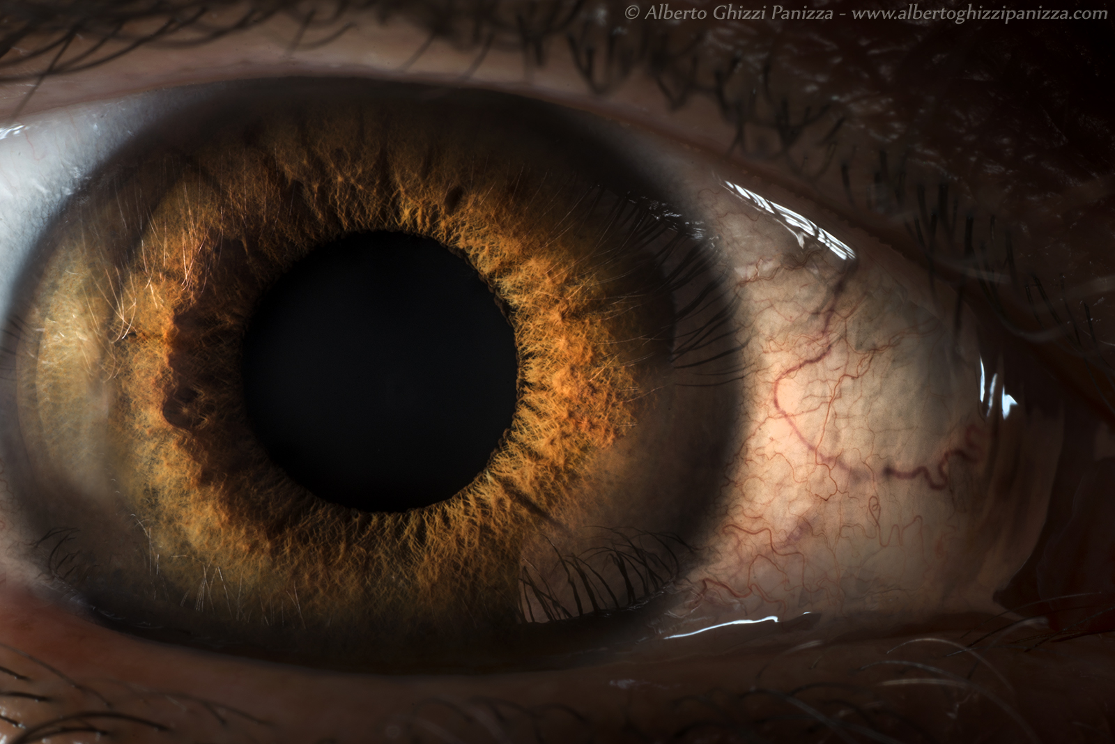 Human Aperture Program