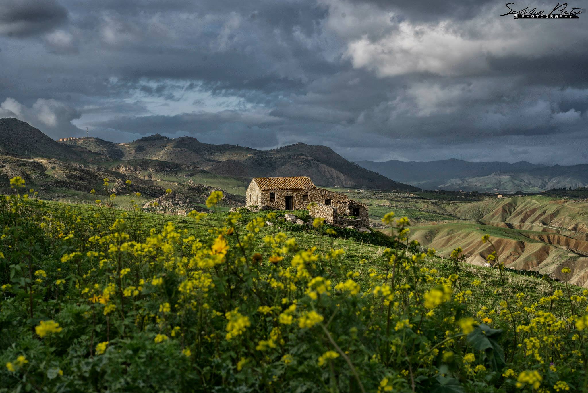 Campagne Siciliane nei pressi di Centuripe