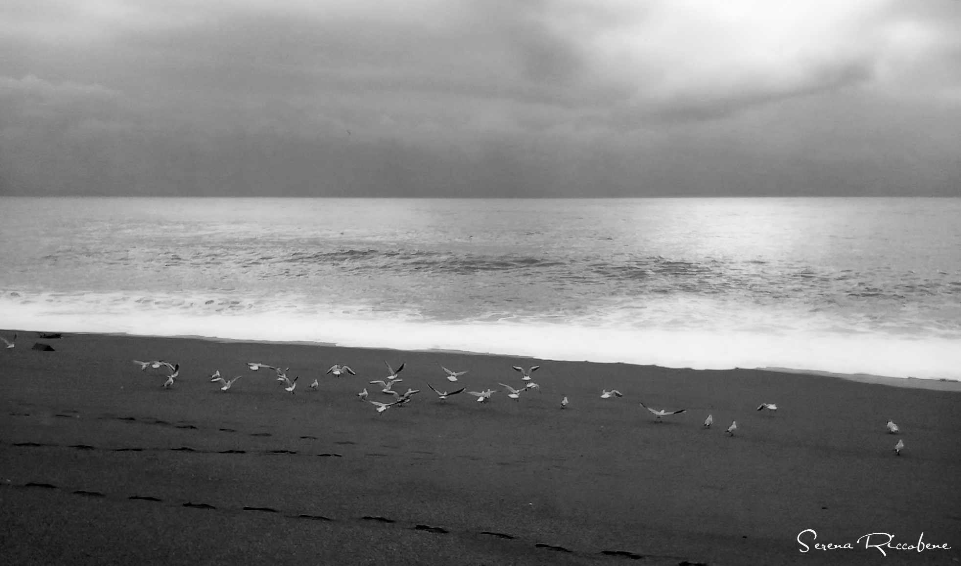 The calm after the storm 1