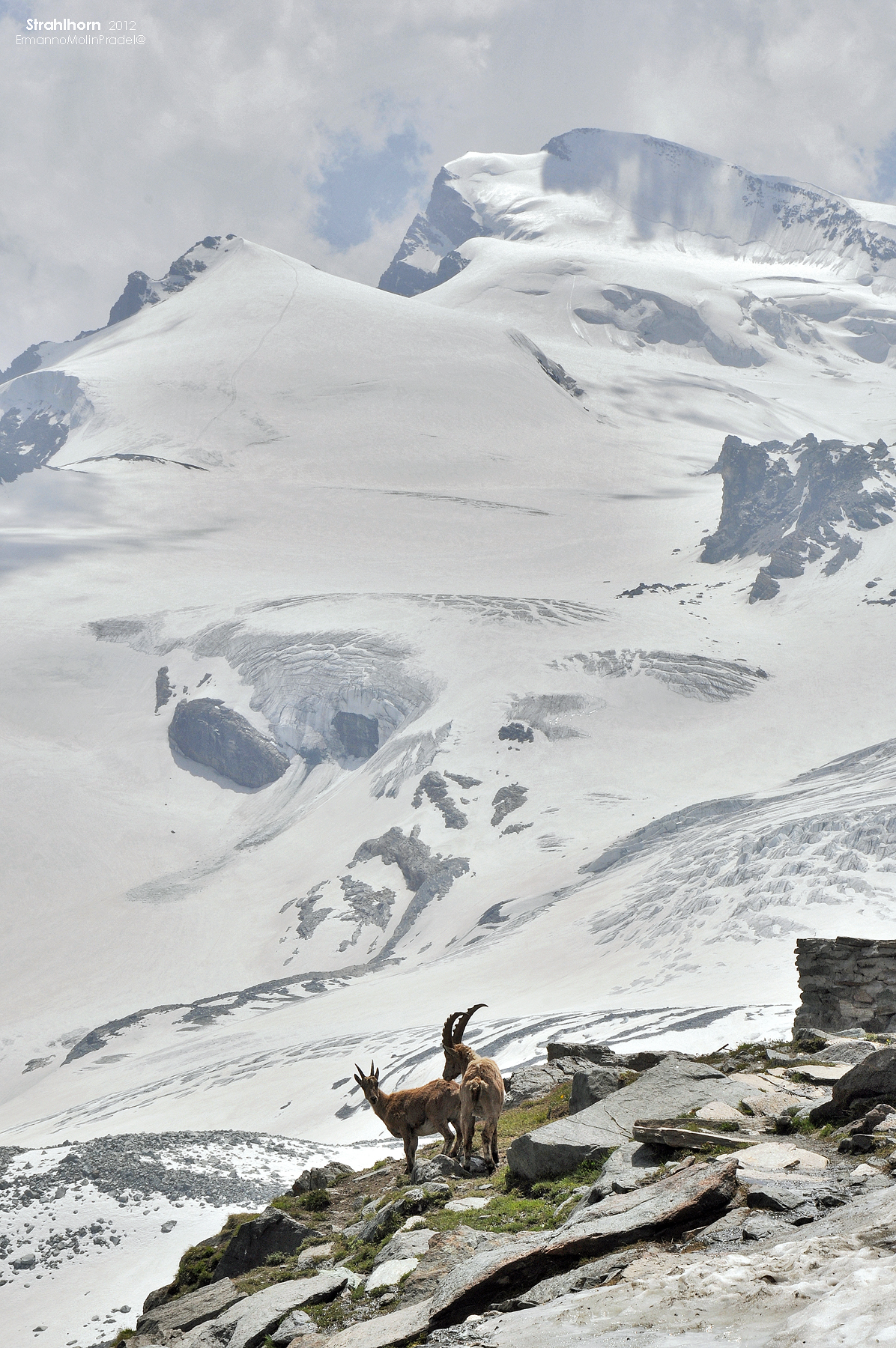 opposite the Stralhorn ..