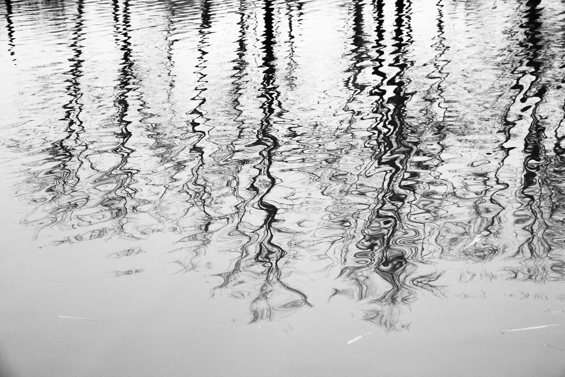 Riflessi Black & White