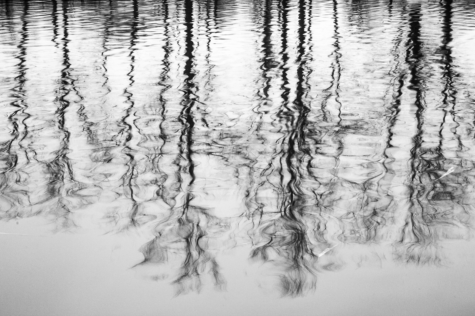 Riflessi Black & White