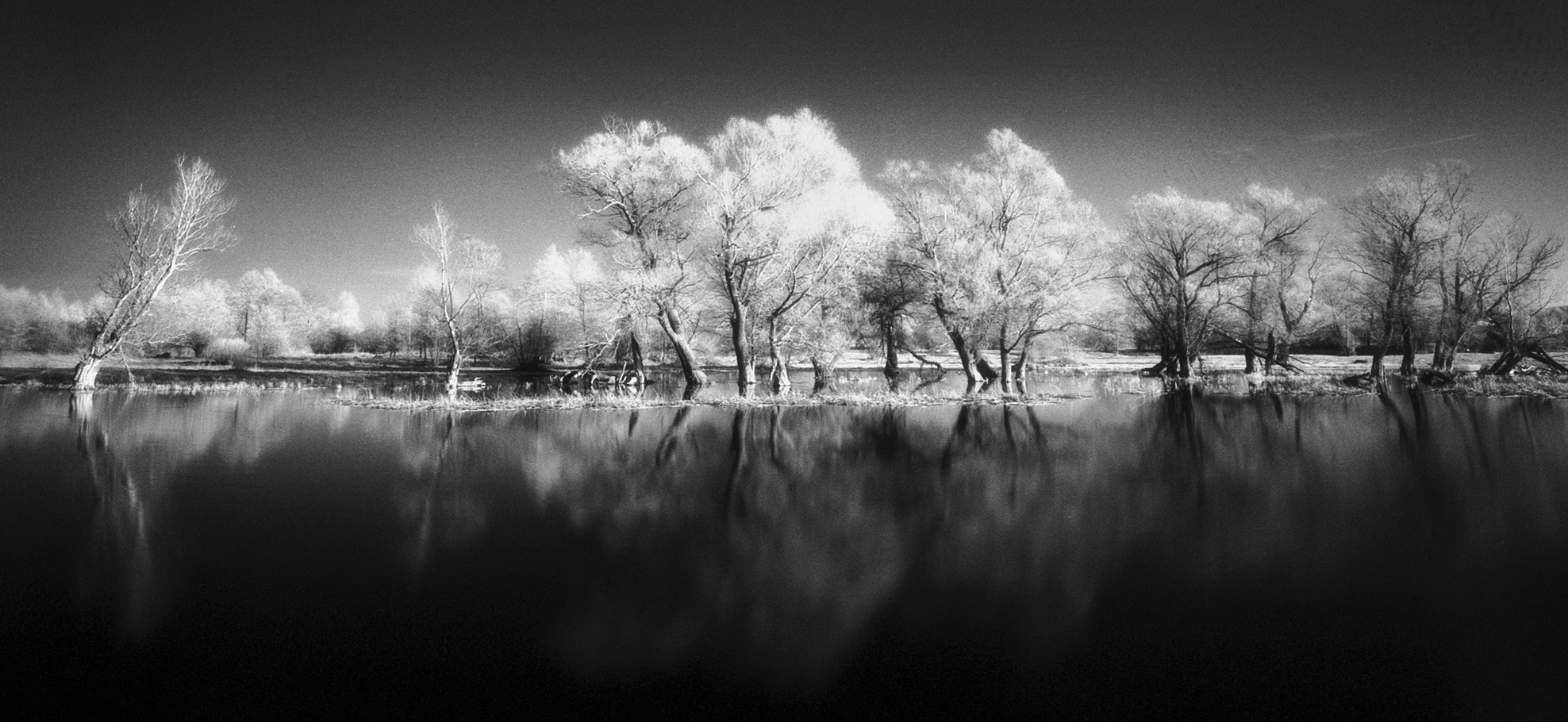 Reflections, Narew River